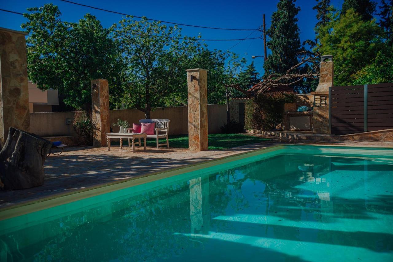 Pool And Sea View Apartments Agia Marina  المظهر الخارجي الصورة